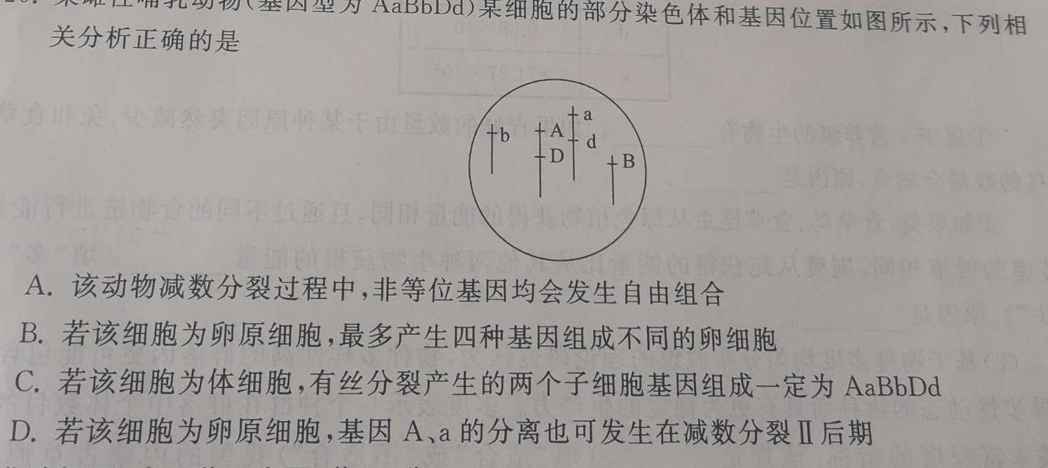2024届衡水金卷先享题调研卷(JJ.AB)(3)生物