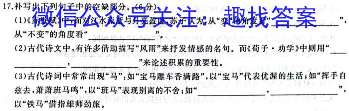 2023-2024学年广西高二年级阶段性考试(24-224B)语文