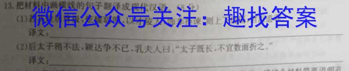 2024年江苏省普通高中学业水平选择性考试冲刺压轴卷(二)语文