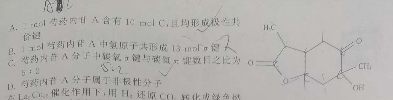 12023-2024学年高三年级冬季教学质量检测（12.28）化学试卷答案