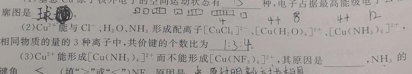 1陕西省2023-2024学年度高二第一学期阶段性学习效果评估(三)化学试卷答案