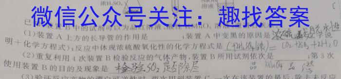 3安徽省2023-2024学年度高一上学期第二次月考（24031A）化学试题