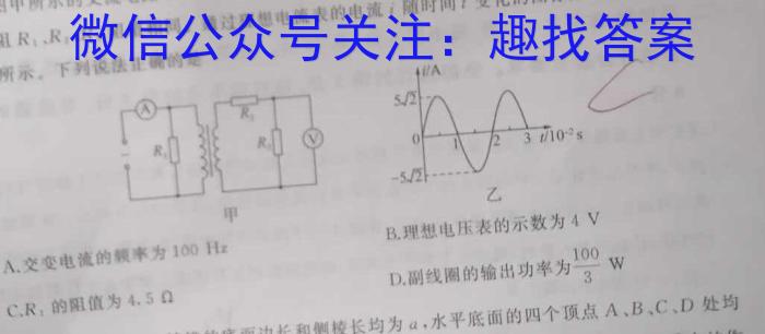 2024年河南省中考信息押题卷(二)物理试卷答案