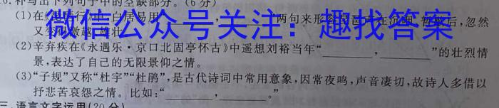 安师联盟·安徽省2024年中考仿真极品试卷（五）语文