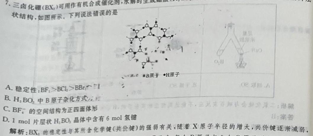 【热荐】2024届广东省高三12月联考(24-237C)化学