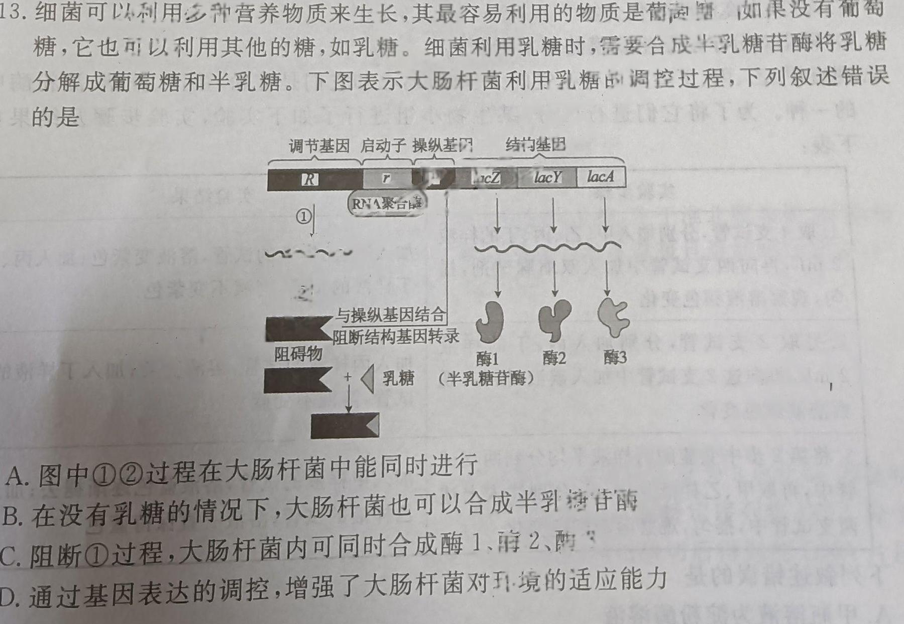 山西省2023-2024学年第一学期九年级阶段性检测三生物