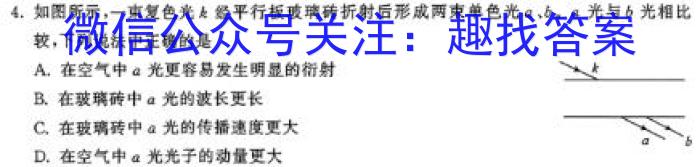 2024年河北省九地市初三模拟联考(二)2物理试卷答案