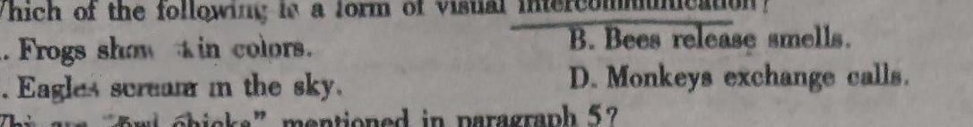 2024届内蒙古高三考试1月联考(▶◀) 英语