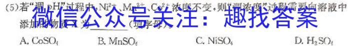 卓育云·2023-2024中考学科素养自主测评卷（二）数学