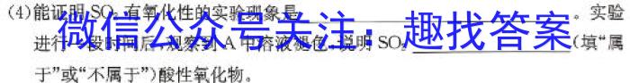 山西省2023-2024学年第二学期七年级期中自主测评化学