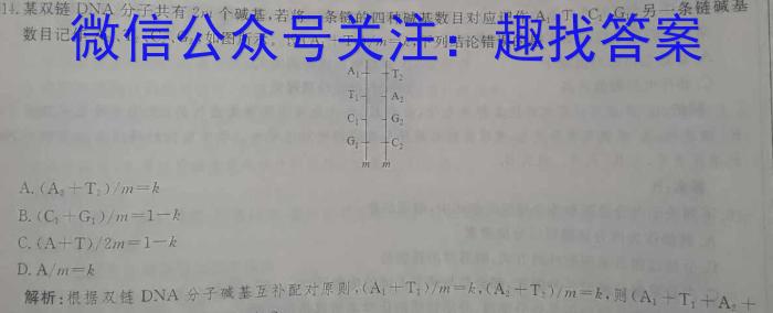 银川一中2025届高三年级第一次月考数学