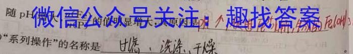 安徽省2023-2024学年上学期八年级教学评价四(期末)数学