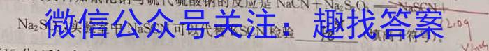 【热荐】学林教育 2024年陕西省初中学业水平考试·全真模拟卷(七)7化学