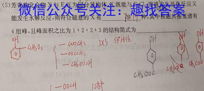 华大新高考联盟2024届高三5月高考押题卷（新高考卷）数学