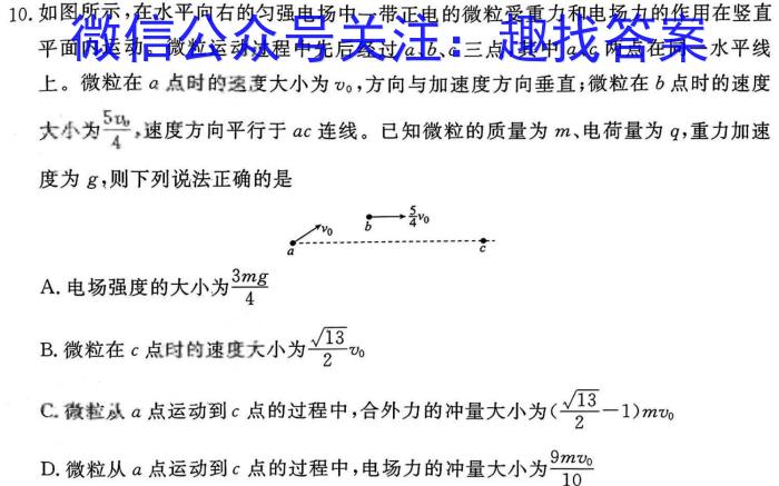 2024届衡中同卷调研卷新高考版 (三)3f物理