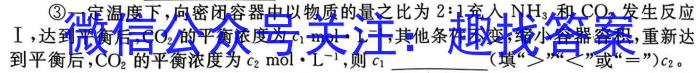 菁师教育 2024届高考仿真模拟信息卷二2数学