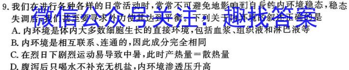 陕西省2023-2024学年度八年级第二学期阶段性学习效果评估数学