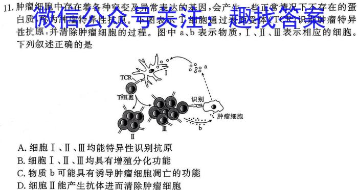 重庆市2024届高三年级下学期3月联考生物学试题答案