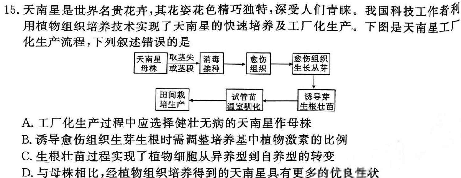 葫芦岛市普通高中2023-2024学年高二下学期期末考试生物