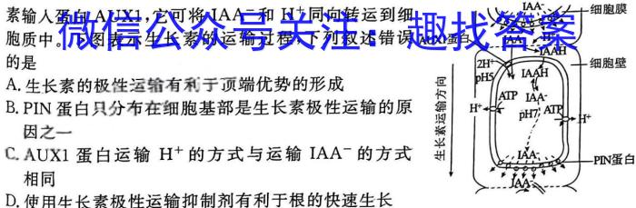 吉安市高二上学期期末教学质量检测(2024.1)生物学试题答案