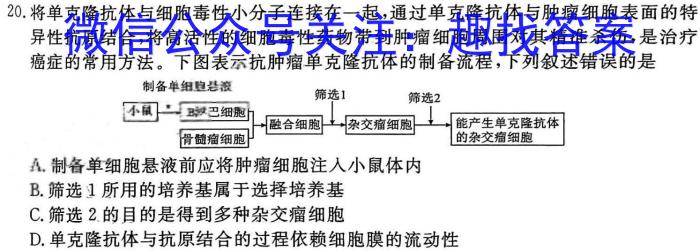 2024届黑白卷 白卷英语