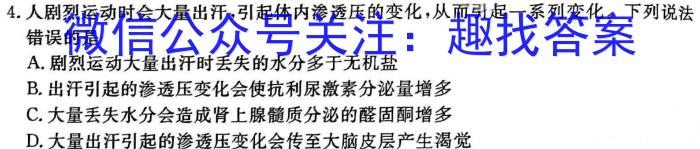 2024届河北省高三适应性测试(3月)数学