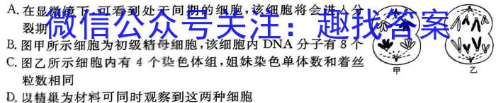 百师联盟 2024届高三冲刺卷(三)3 河北卷生物学试题答案