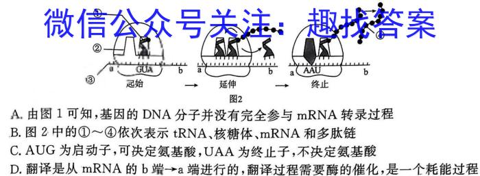 2023-2024学年海南高一阶段性教学检测(三)生物学试题答案