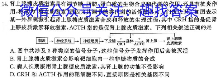 2024届湘豫名校联考春季学期高三第三次模拟考试生物学试题答案