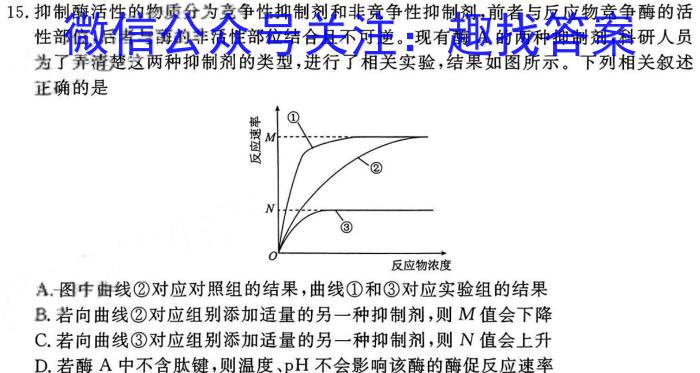 河北省2024年九年级5月模拟(三)数学