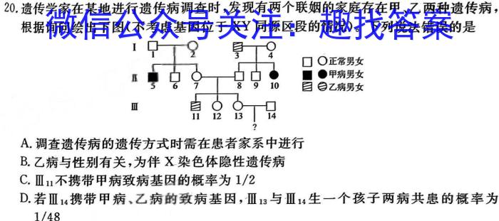 河北省2024届高三年级大数据应用调研联合测评(Ⅴ)生物学试题答案