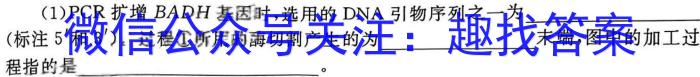 江西省2023-2024学年度第二学期高二年级3月联考生物学试题答案