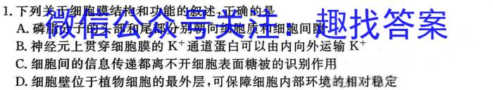 衡水大联考·山东省2025届高三年级摸底联考（9月）生物学试题答案