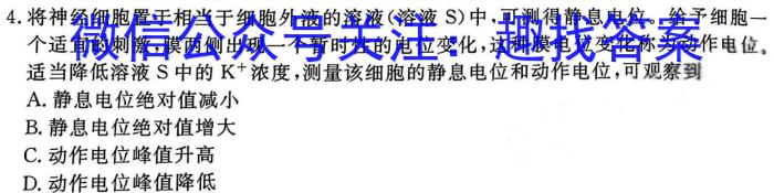 山西省晋城市2024-2025学年度高二年级9月联考数学