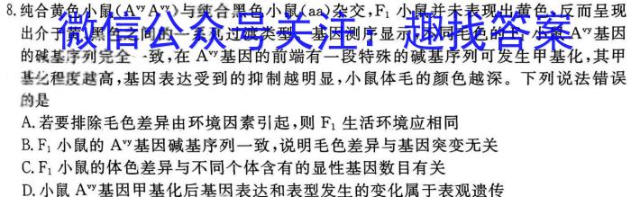 2024届辽宁省十校高三下学期联考数学