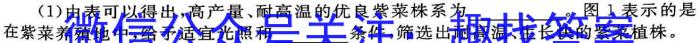 百师联盟·陕西省2023-2024学年度高二年级阶段测试卷（二）数学