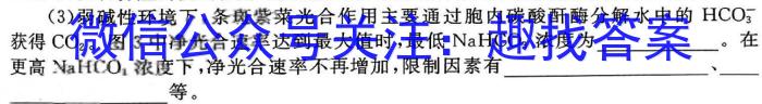 河南省新高中创新联盟TOP二十名校计划2024届高三2月联考数学