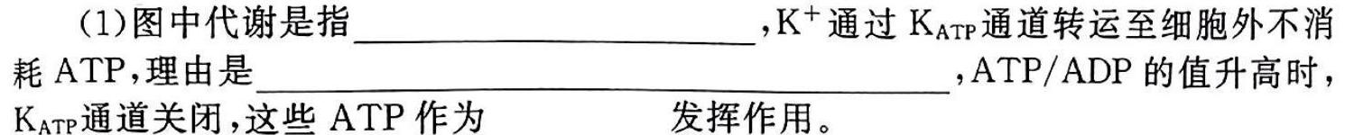 江西省上饶市弋阳县第一中学高二年级开学考试(2024.2)生物