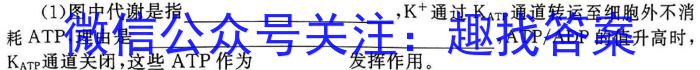 云南省高二年级楚雄州中小学2023-2024学年下学期期末教育学业质量监测(24-562B)数学