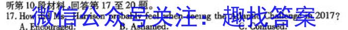 2024届湖南省高三4月联考(24-432C)英语