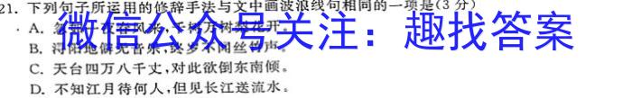 2024-2025学年吉林省长春市第八十九中学期初测试九年级开学考试语文