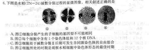 2024年河南省中考模拟测评(5月)生物