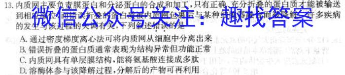 炎德英才大联考 长沙市一中2024届高三学生自主检测试卷生物学试题答案