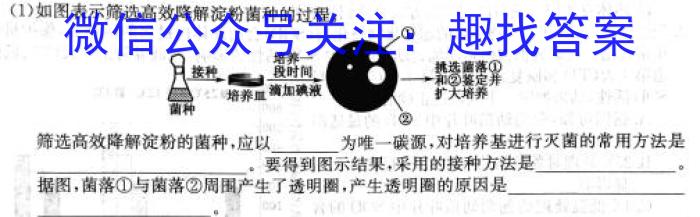 2024年四川省树德中学高2021级高三下期4月测试生物学试题答案