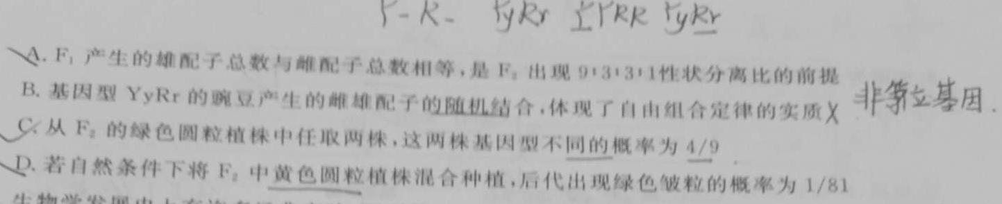 河南省漯河市2023-2024学年高三上学期期未质量监测生物