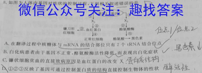 ［四川大联考］四川省2025届高二年级1月联考生物学试题答案