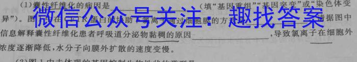 江西省2024年中考模拟示范卷（四）数学