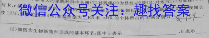 广东省高二湛江市2023-2024学年度第二学期期末高中调研测试数学