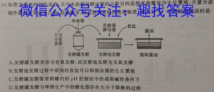 2024-2025学年度武汉市部分学校高三年级九月调研考试生物学试题答案