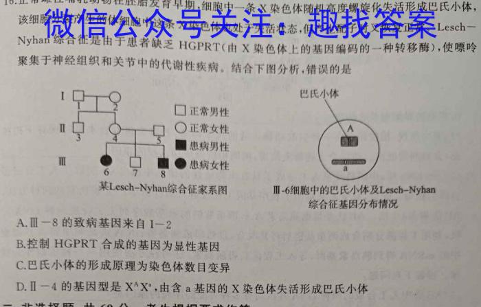 甘肃省庆阳二中2024届高三年级第六次月考试卷(9137C)生物学试题答案